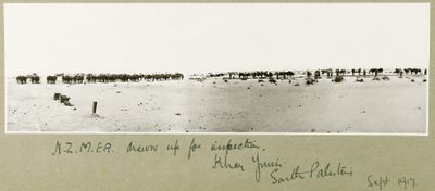 N.Z.M.F.A. zur Inspektion aufgestellt, Khan Yunis, September 1917 von Capt. Arthur Rhodes